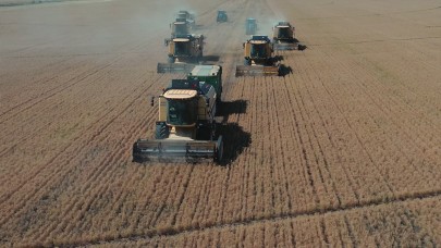 Ceylanpınar TİGEM’de hasat zamanı