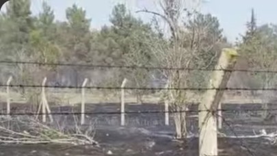 Bozova Atatürk Barajında korkutan yangın