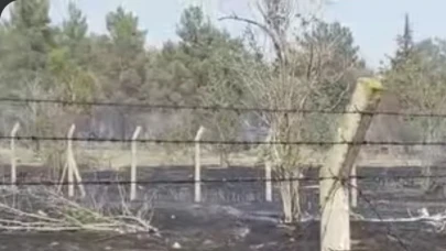Bozova Atatürk Barajında korkutan yangın
