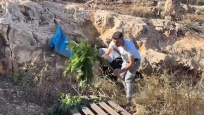 Şanlıurfa’da mağarada kenevir ve 7 bin 850 hap ele geçirildi!