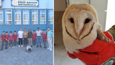 Birecik'te Sınıfta Peçeli Baykuş! Tedavi Edilip Doğaya Bırakıldı