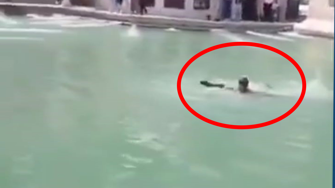 Şanlıurfa’da Balıklıgöl’de Yüzen Kişiye Ceza Verildi