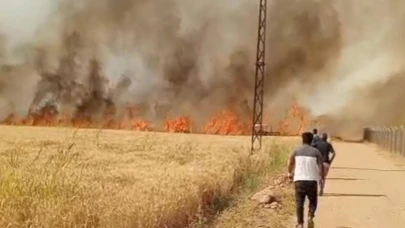 Harran Ovası'nda 40 dönüm ekili arazi yandı