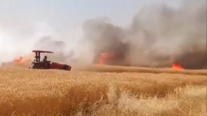 Harran'da onlarca dönüm ekili arazi yanarak kül oldu.