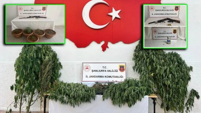 Birecik, Hilvan ve Siverek’te Uyuşturucu Operasyonu!