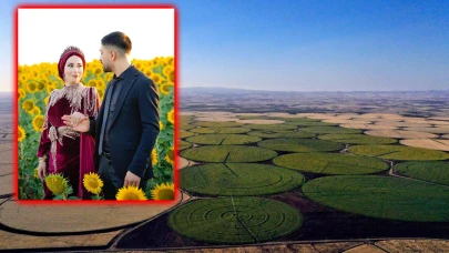 Şanlıurfa’da Ayçiçeği Tarlaları Sarıya Büründü, Çiftler Düğün Fotoğrafı İçin Akın Ediyor
