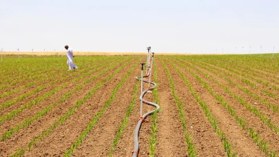 Şanlıurfa'da tarımsal su krizi derinleşiyor! Uzmanlardan kritik uyarı