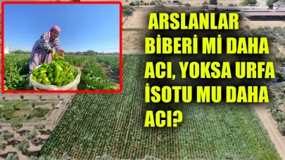 İzmir’den Şanlıurfa’daki vatandaşlara “İsot” çağrısı!