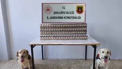Şanlıurfa'da 3 bin paket kaçak sigara ele geçirildi