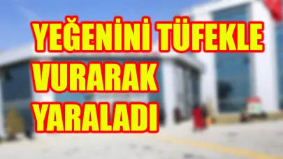 Şanlıurfa’da amca-yeğen arasında sulama kavgası!