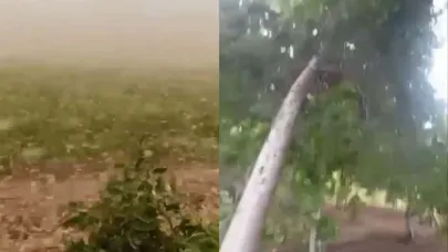 Şanlıurfa'da fırtına hayatı olumsuz etkiledi