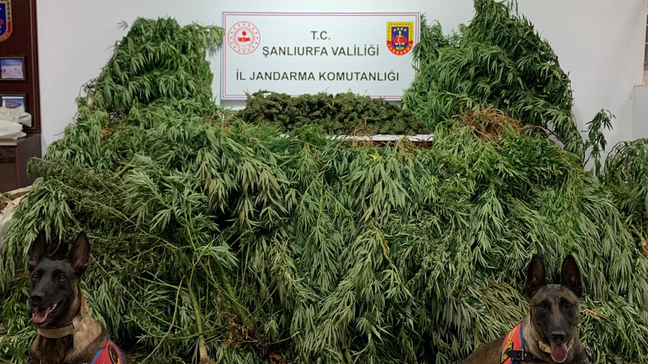 Şanlıurfa’da 11 kilo uyuşturucu ele geçirildi