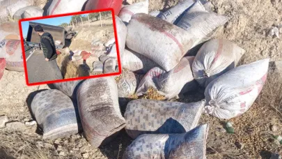 Şanlıurfa’da Traktör Kazası: 1 Ölü, 5 Yaralı