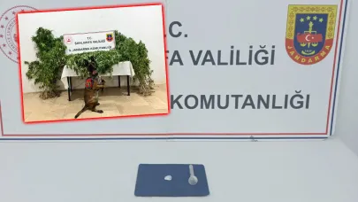 Şanlıurfa’nın 4 ilçesinde eş zamanlı narkotik baskını