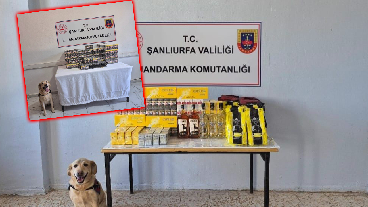 Viranşehir’de Şok Denetim: Binlerce Paket Kaçak Ürün Yakalandı