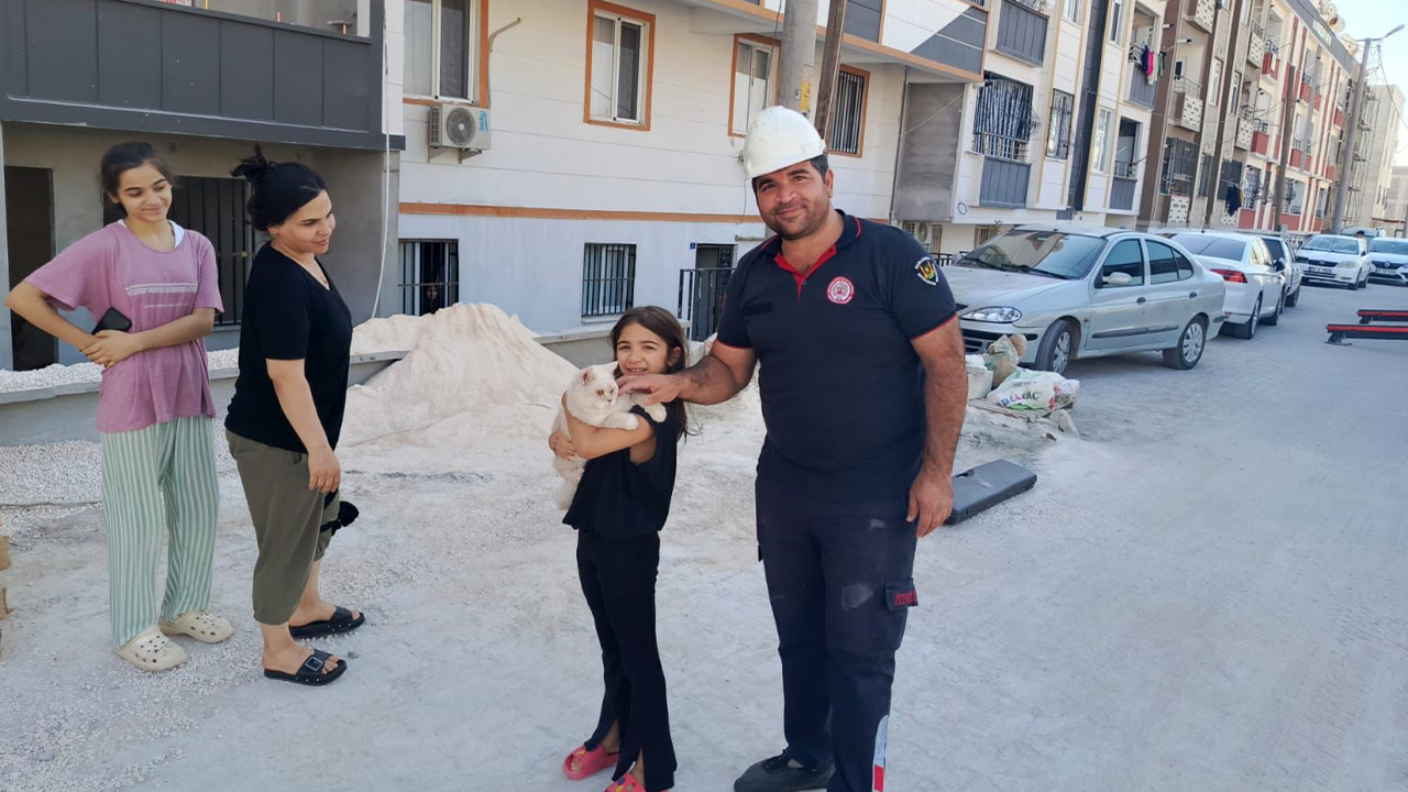 Şanlıurfa’da kedi operasyonu: İtfaiye ekipleri seferber oldu