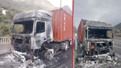 Adana-Şanlıurfa Otoyolunda Seyir Halindeki Tır Alev Aldı