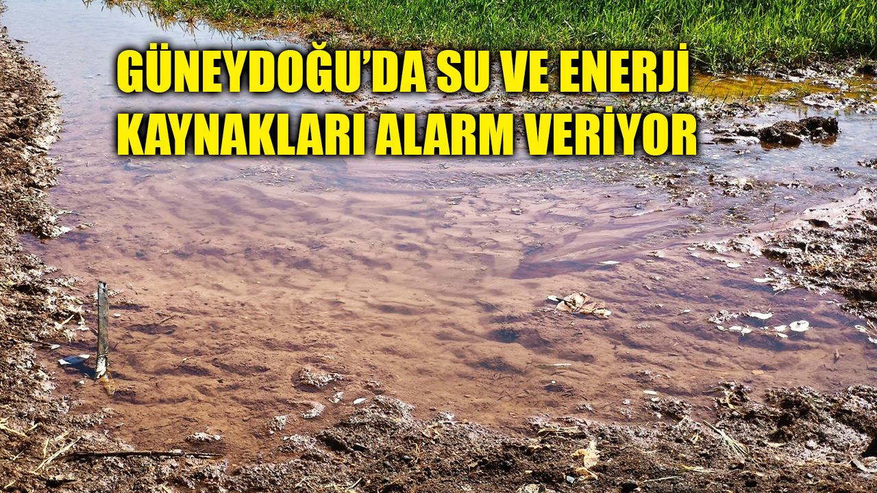 Son 52 yılın en kurak dönemi: Bölge, yüksek su tüketimiyle kendi geleceğini tüketiyor