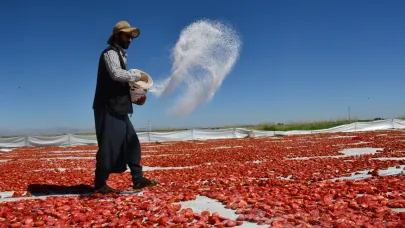 Siverek'in Güneşte Kurutulan Lezzeti Dünyaya İhraç Ediliyor
