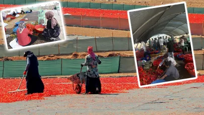 Şanlıurfa'da tarlada çalışan işçilere sağlık ekiplerinden destek