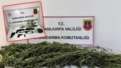 Şanlıurfa’da jandarmadan uyuşturucu operasyonu: 42 gözaltı