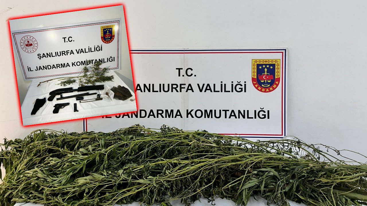 Şanlıurfa’da jandarmadan uyuşturucu operasyonu: 42 gözaltı