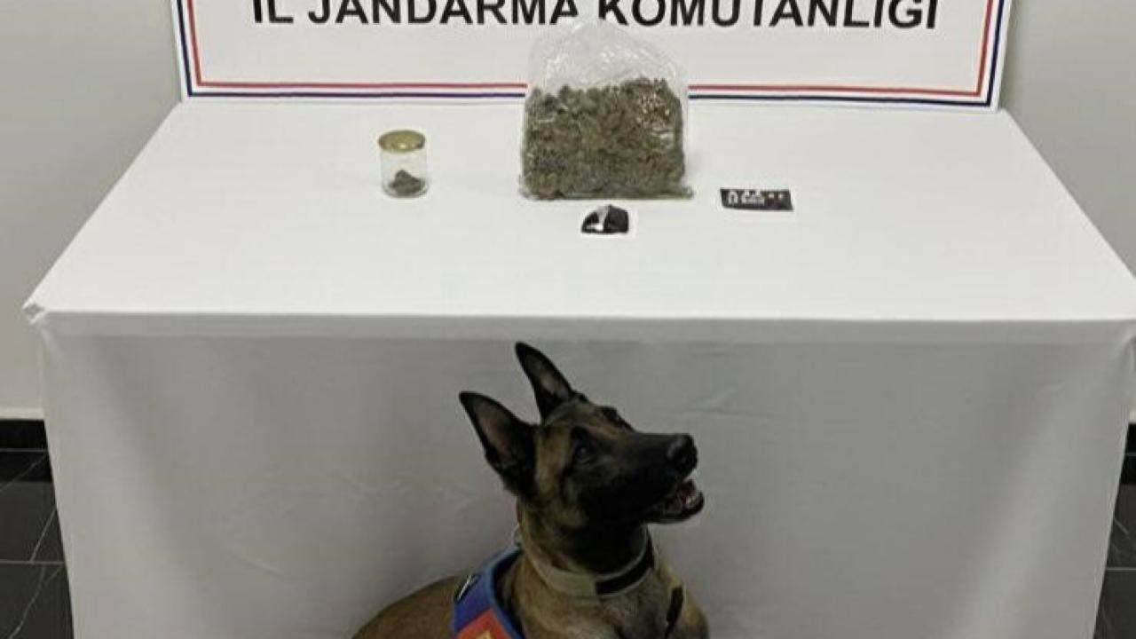 Şanlıurfa’da uyuşturucu operasyonu: 1 gözaltı