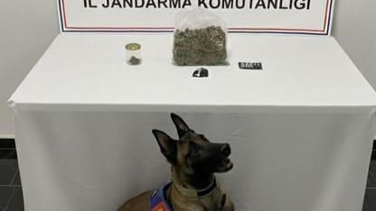 Şanlıurfa’da uyuşturucu operasyonu: 1 gözaltı