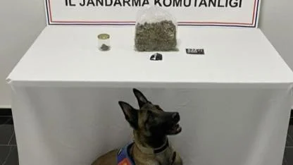 Şanlıurfa’da uyuşturucu operasyonu: 1 gözaltı