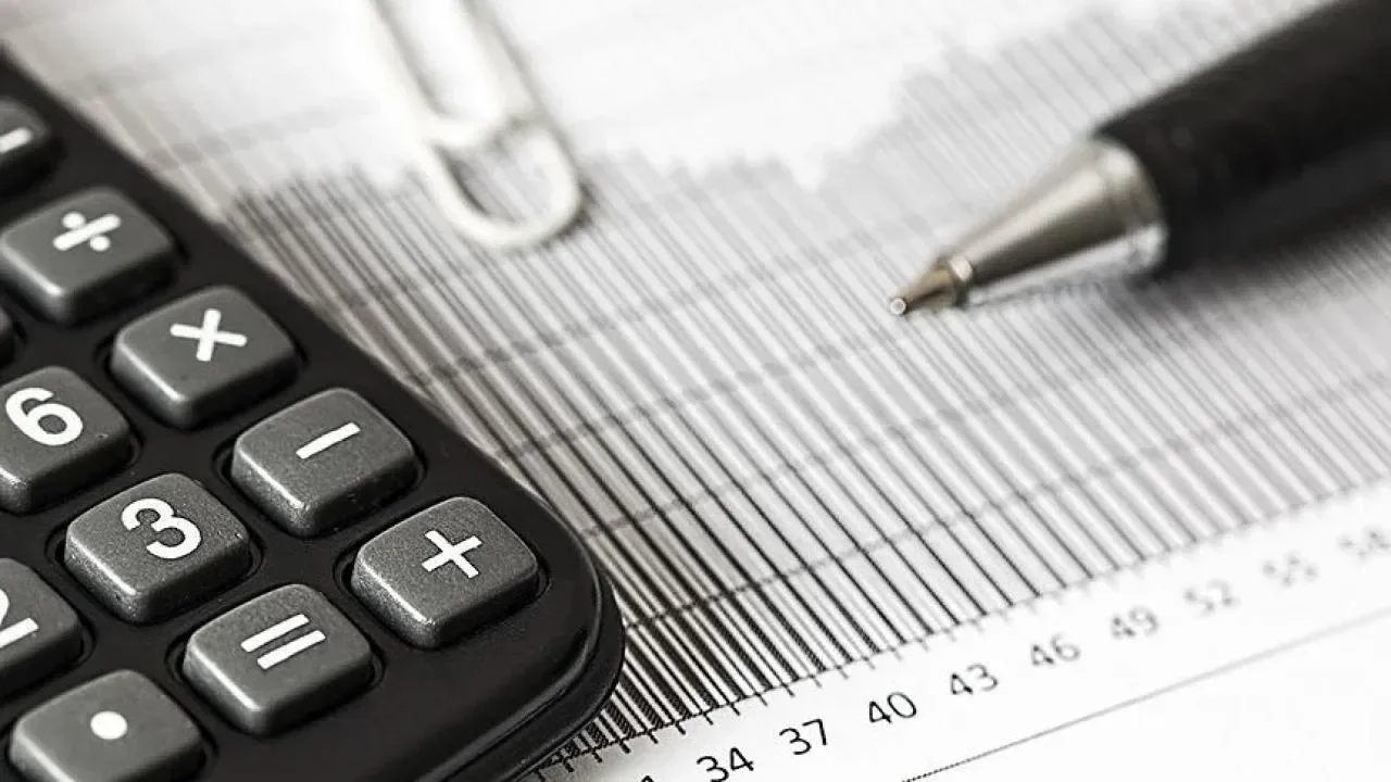 Bireysel Emeklilik Sistemi'nde devlet katkısı oranı yüzde 20 oldu