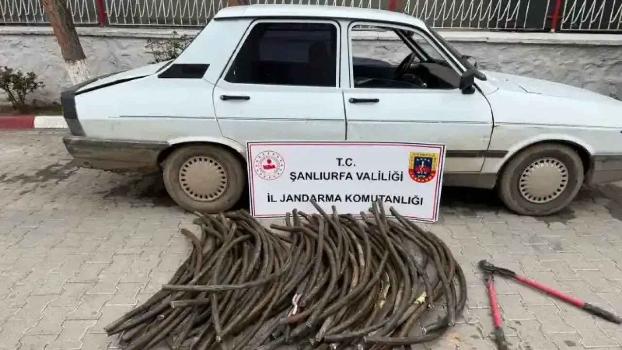 Şanlıurfa'da Kablo hırsızı suçüstü yakalandı