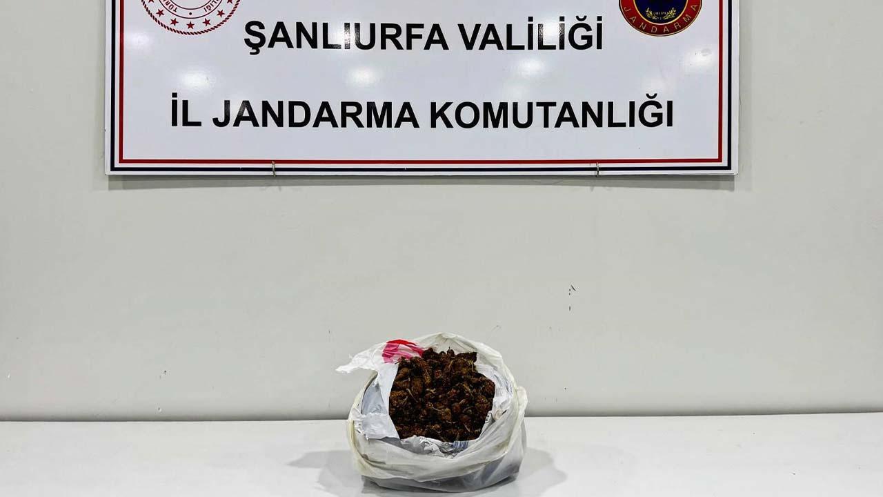 Şanlıurfa'da uyuşturucu operasyonu