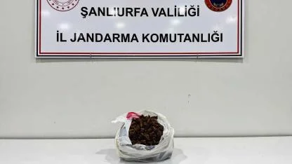 Şanlıurfa'da uyuşturucu operasyonu